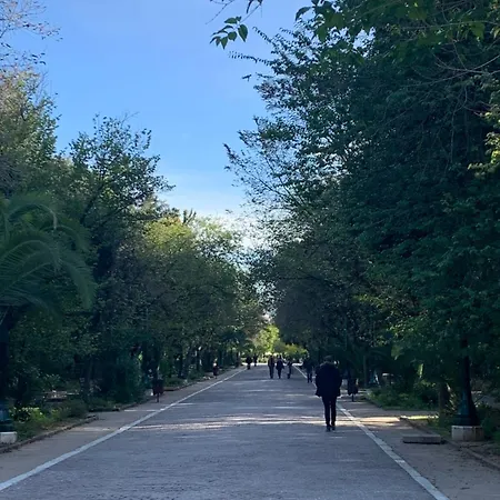 Aris Patisia